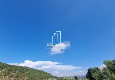 d351d011-589c-4483-9daa-1ccdcf725243