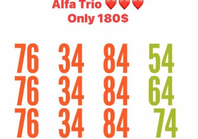 03bc5458-4496-4a5c-8eed-d9094ce70cae