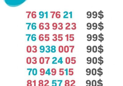 e93fd733-f3c1-4a7d-9995-c912c77d3f4b