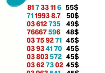 ea014694-6ed8-48df-8150-dd34ad0aefc5