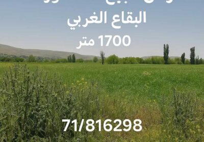 fdf4d33d-e301-42a6-9517-d5a798d3d342